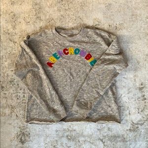 Girls Raw Edge Amercrombie Sweatshirt